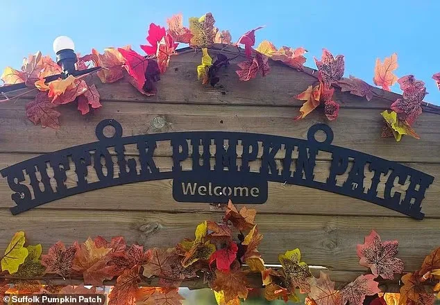 Suffolk Pumpkin Patch-მა უპასუხა ინფლუენსერ ალექს დოდმანის კომენტარებს იმის შესახებ, რომ ეს სეზონური ატრაქციონი „ყველაზე დეპრესიულია დიდ ბრიტანეთში“