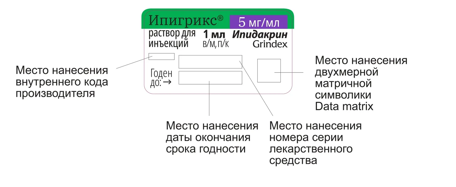 იპიგრიქსი — ფოტო 1
