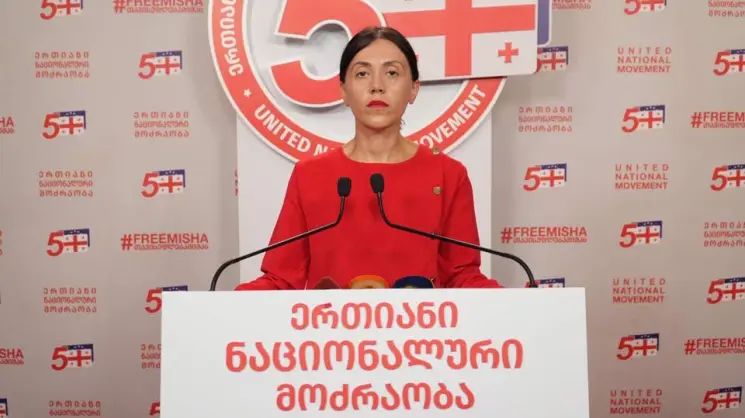 უშუალოდ ჩავერთვებით თუ არა ამ პროცესში, ამ გადაწყვეტილებას ჩვენ უახლოეს მომავალში მივიღებთ - ანა წითლიძე პარტიების აკრძალვის პროცესზე