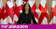 პარტიების აკრძალვის დავალება დაიწერა კრემლში - ანა წითლიძე