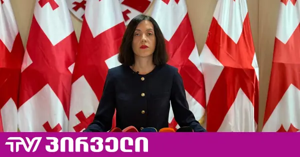 პარტიების აკრძალვის დავალება დაიწერა კრემლში - ანა წითლიძე