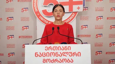 ჩვენ მუდმივი კომუნიკაცია გვაქვს მათ შორის ვენეციის კომისიის წარმომადგენლებთან იმ კუთხით, რასაც ჰქვია ჩვენი არგუმენტაციის გაცნობა ამ პროცესთან დაკავშირებით - ანა წითლიძე