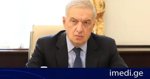 გიორგი ვოლსკი: არსებობს კანონი პოლიტიკური პარტიების შესახებ და არსებობს კონკრეტული მაგალითები, როგორ მოქმედებენ ეს პოლიტიკურ პარტიებად წოდებული პარტიები. ბოლო პერიოდის განმავლობაში რევოლუციის 5 მცდელობა ვიხილეთ. რაღა უნდა გააკეთოს პარტიზანულმა არმიამ კიდევ იმისთვის, რომ საქართველოში ვაღიაროთ ასეთი დაჯგუფება, როგორც საფრთხის შემცველი