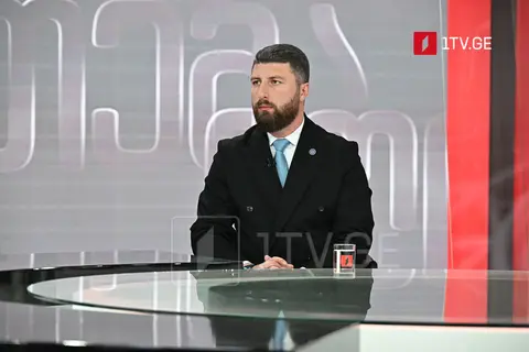 არჩილ გორდულაძე – პარტიები როდესაც გადიან კონსტიტუციური ჩარჩოებიდან, მათი საქმიანობის შეზღუდვა არის ლეგიტიმური და პირდაპირ შეესაბამება როგორც სტრასბურგის სასამართლოს სტანდარტებს, ისე შიდა კანონმდებლობას