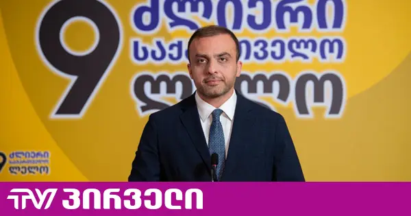 „ძლიერი საქართველო - ლელო“ საკონსტიტუციოში პარტიების აკრძალვის პროცესზე იქნება წარმოდგენილი - ეს იქნება ტრიბუნა, რომლითაც ვამხელთ “ოცნებას“ - სიორიძე