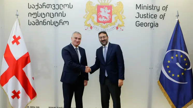 საქართველოს იუსტიციის მინისტრმა ევროპის საბჭოს მაღალი დონის დელეგაციას უმასპინძლა