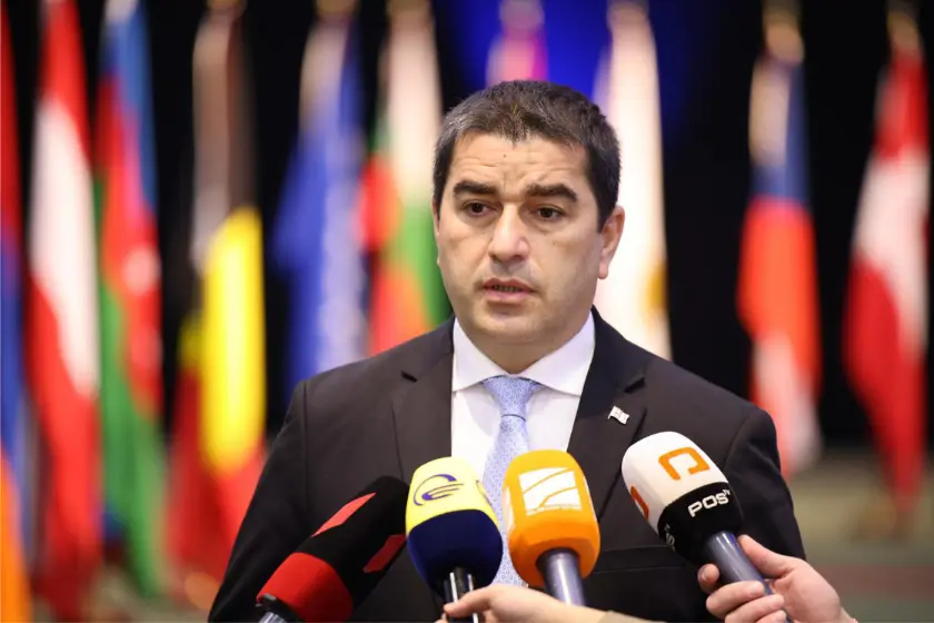 შალვა პაპუაშვილი: “მიხარია ერთი რამ – სიტყვით მაინც, დღეს ყველა აღიარებს, რომ უცხოური ჩარევა საჭიროებს რეგულაციას და ამ რეგულაციებისთვის უნდა შეიქმნას საერთაშორისო სტანდარტი”