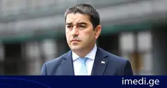შალვა პაპუაშვილი: ფარისევლობა, ევროკავშირო, უნდა გერქვას შენ