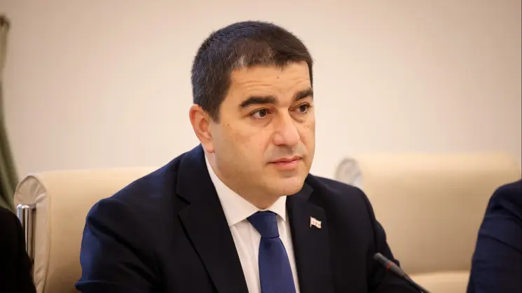 ნინო ლომჯარია არის საქართველოზე ჰიბრიდული თავდასხმის იარაღი და თავის იარაღს ალბათ მიიწვევენ იმისთვის, რომ კიდევ ერთხელ გაამზადონ საქართველოზე თავდასხმისთვის - შალვა პაპუაშვილი ევროკავშირის გაფართოების კონფერენციაზე