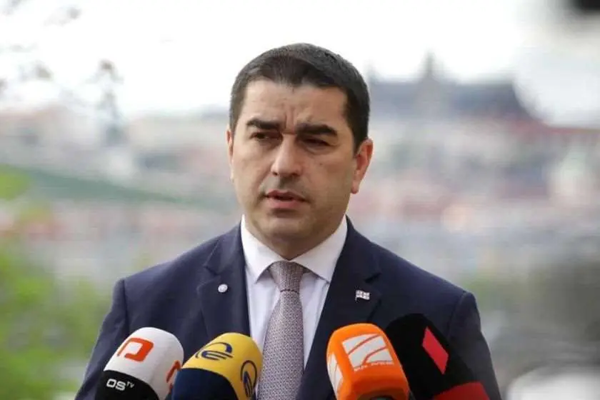 შალვა პაპუაშვილი: „ფარისევლობა, ევროკავშირო, უნდა გერქვას შენ“