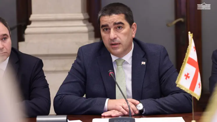შალვა პაპუაშვილი კვიპროსის პარლამენტის თავმჯდომარეს შეხვდა