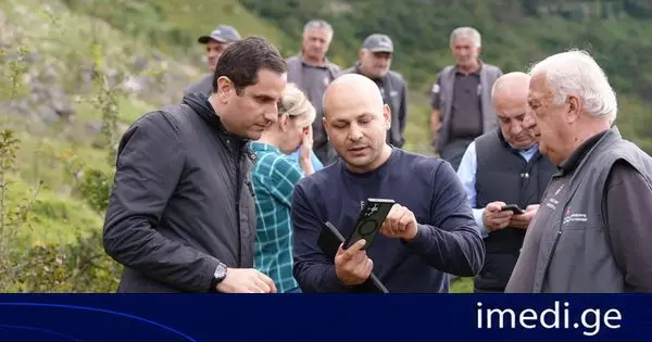 ტყიბულის სატყეო უბანზე დეგრადირებული ტყის აღდგენის პროექტი განხორციელდება