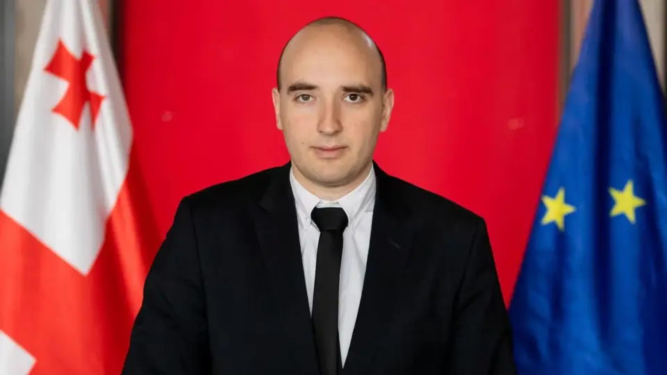„ნაცმოძრაობა“ საკონსტიტუციო სასამართლოს სხდომებს დაესწრება