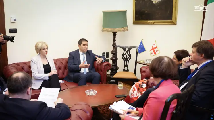 შალვა პაპუაშვილი ევროპის საბჭოს საპარლამენტო ასამბლეის პრეზიდენტს შეხვდა