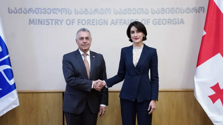 მაკა ბოჭორიშვილი ეუთო-ს მოქმედ თავმჯდომარეს, შვეიცარიის კონფედერაციის ვიცე-პრეზიდენტს, საგარეო საქმეთა ფედერალური დეპარტამენტის ხელმძღვანელს იგნასიო კასისს შეხვდა