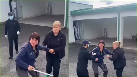 გორის ცხოველთა თავშესაფრის თანამშრომელმა აქტივისტს ჯოხი გადაარტყა – „ქართლის ამბები“