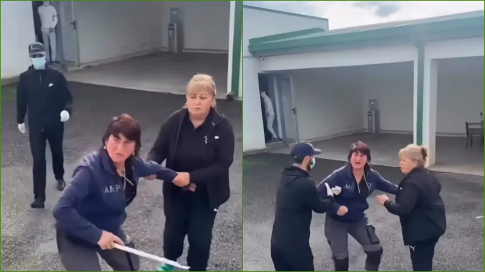 გორის ცხოველთა თავშესაფრის თანამშრომელმა აქტივისტს ჯოხი გადაარტყა – „ქართლის ამბები“