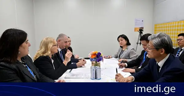 ნათია თურნავა და ლაშა ხუციშვილი ჩინეთის ცენტრალური ბანკის პრეზიდენტს, პან გონშენგს შეხვდნენ