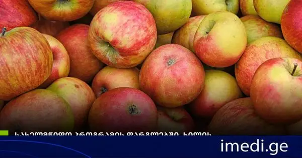 სახელმწიფო პროგრამის ფარგლებში, ხილის გადამამუშავებელი საწარმოები არასტანდარტულ ვაშლს იბარებენ შიდა ქართლის, რაჭა-ლეჩხუმისა და ქვემო სვანეთის, სამცხე-ჯავახეთისა და მცხეთა-მთიანეთის რეგიონებში