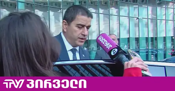 კობახიძის შემდეგ, პაპუაშვილიც ამტკიცებს რომ უმრავლესობის სხდომაზე "სირპრიზები არ იქნება"