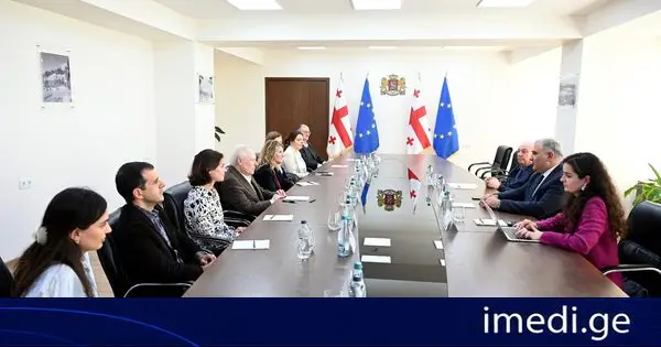 მიხეილ სარჯველაძე „ემორის უნივერსიტეტის“ პროფესორებს შეხვდა