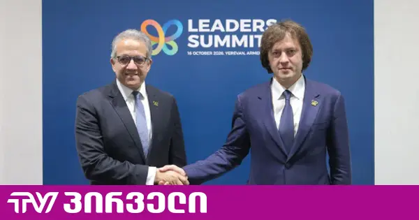 ირანის პრეზიდენტი ირაკლი კობახიძესთან შეხვედრის დეტალებზე საუბრობს