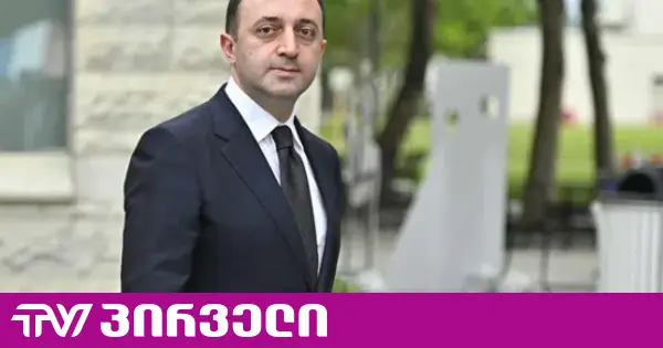 ინაშვილი არ გამორიცხავს, რომ ღარიბაშვილმა ციხე დატოვოს