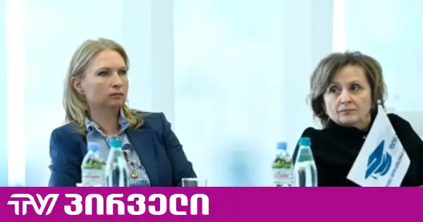 ყეინიშვილმა, რომლის წინააღმდეგაც პროკურატურამ გამოძიება დაიწყო, ეროვნული ბანკის საბჭო დატოვა