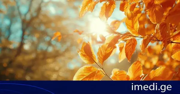 როგორი ამინდია მოსალოდნელი დღეს საქართველოში