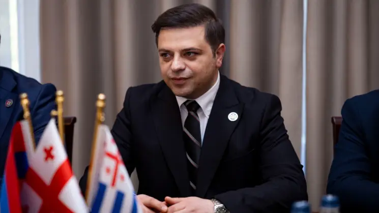 ცოტნე ანანიძე: საფრანგეთში სხვა ქვეყნის საგარეო საქმეთა მინისტრები რომ დადგნენ ახლა ანტისამთავრობო აქციაზე, ევრობიუროკრატია "დემოკრატიის მხარდაჭერად" შეაფასებს?