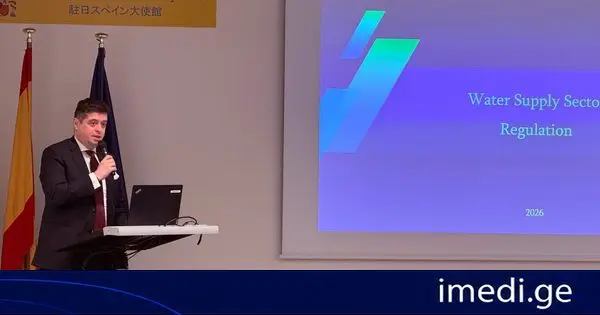 გიორგი ფანგანმა ქ.ტოკიოში წყალმომარაგების შესახებ გამართულ შეხვედრაში მიიღო მონაწილეობა