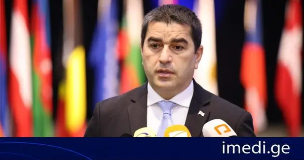 შალვა პაპუაშვილი საკონსტიტუციო სარჩელზე: მიზანი არის მარტივი, რომელზეც არაერთხელ გვისაუბრია, რომ კონსტიტუციის მტრების ადგილი დემოკრატიულ პარტიულ ლანდშაფტში არ არის