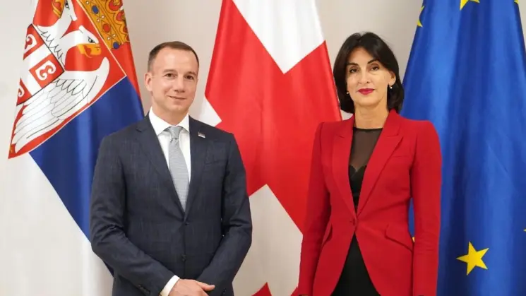 მაკა ბოჭორიშვილი სერბეთის რესპუბლიკის საგარეო საქმეთა სამინისტროს სახელმწიფო მდივანს დამიან იოვიჩს შეხვდა