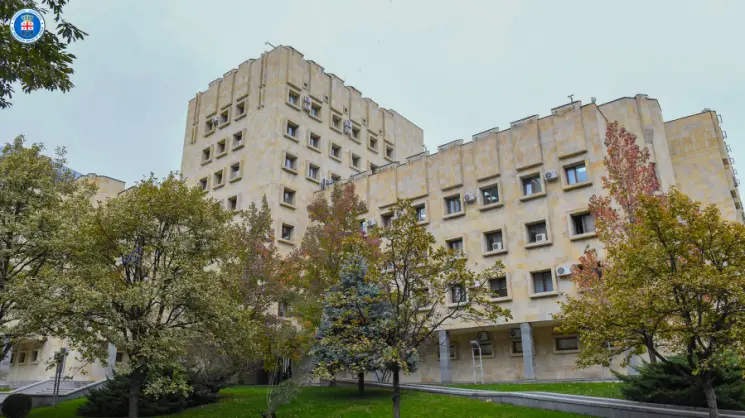დიდი ოდენობით თაღლითობის და განსაკუთრებით დიდი ოდენობით ფულის გათეთრების ფაქტებზე, უცხო ქვეყნის მოქალაქეს სასამართლომ 11 წლით თავისუფლების აღკვეთა განუსაზღვრა