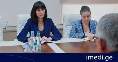 თეა ახვლედიანმა სამხრეთ კავკასიაში ეუთო-ს სპეციალურ წარმომადგენელთან კრისტოფ შპეტისთან შეხვედრა გამართა