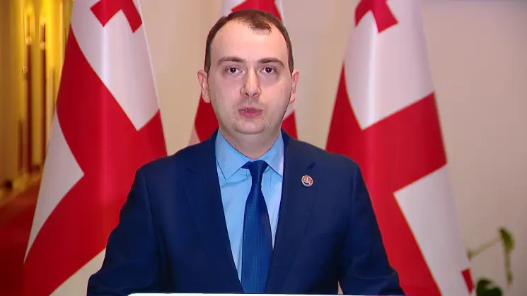 შეურაცხყოფა, რაც ევროკომისიის პრესსპიკერმა იკადრა, კონკრეტულ რეაგირებას საჭიროებს. თავს იმის უფლებასაც კი აძლევს, უთითებს რა გადაწყვეტილება უნდა მიიღოს საკონსტიტუციო სასამართლომ - გიორგი ჩაკვეტაძე