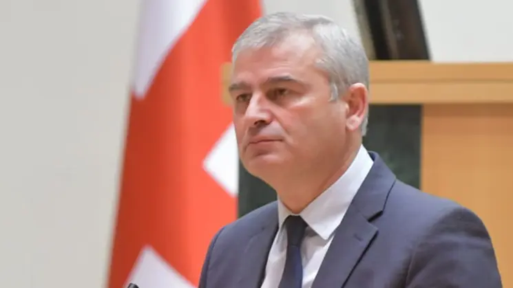 მანიპულაციაა დემოკრატიით, დემონსტრაციით, საზოგადოებით იმისთვის, რომ თავის ვიწრო პოლიტიკურ მიზნებს მიაღწიონ - ირაკლი ქადაგიშვილი