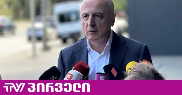 ბადრი ჯაფარიძე ევროპის რამდენიმე ქვეყნის ელჩს შეხვდება