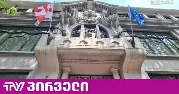 საგარეო EU-ს წინააღმდეგ - ბოჭორიშვილის უწყება ევროკავშირს ზეწოლის მცდელობაში ადანაშაულებს