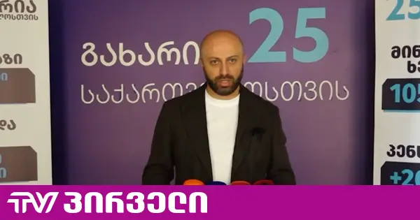 გახარიას პარტია მოითხოვს, მისი აკრძალვის საკითხი საკონსტიტუციომ სხვა პარტიებისგან განცალკევებით განიხილოს
