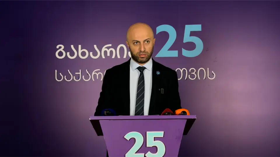გახარიას პარტია მოითხოვს, საკონსტიტუციომ მათი აკრძალვის საკითხი ცალკე განიხილოს