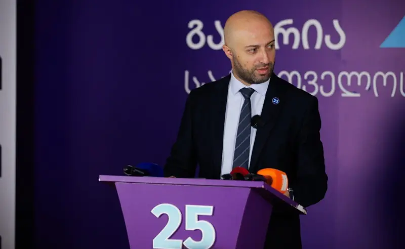 გახარიას პარტია მოითხოვს, მისი აკრძალვის საკითხი საკონსტიტუციომ სხვა პარტიებისგან განცალკევებით განიხილოს