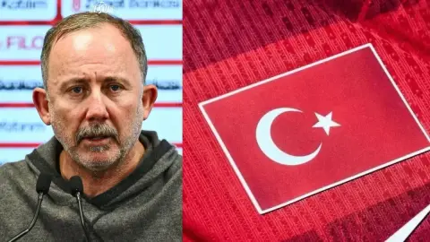 თურქეთის ნაკრებს ახალი მთავარი მწვრთნელი ჰყავს