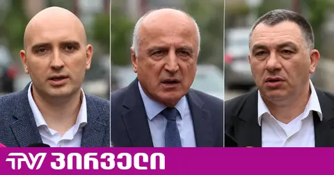 რაზე ესაუბრა ოპოზიცია აკრედიტირებულ ელჩებს - კომენტარები