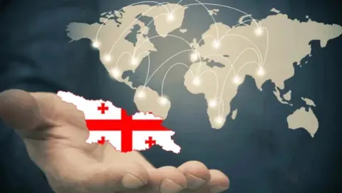 ეკონომიკაში პირდაპირი უცხოური ინვესტიციების წილი მცირდება/FDI-ის რეალური სურათი