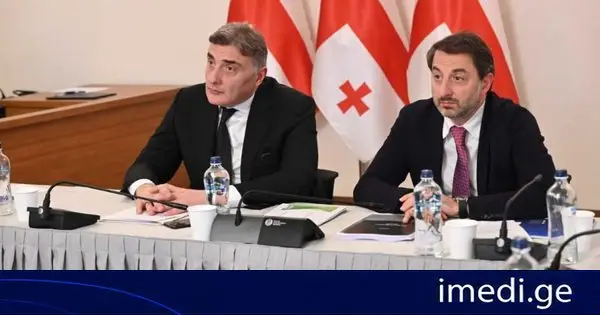 პარლამენტის ეკონომიკური პოლიტიკის კომიტეტმა ენერგეტიკისა და წყალმომარაგების სექტორში მომხმარებელთა უფლებრივი მდგომარეობის შესახებ 2025 წლის ანგარიში განიხილა