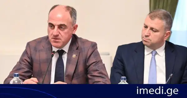 დავით ნარმანიამ პარლამენტში სემეკის 2025 წლის საქმიანობის ანგარიში წარადგინა