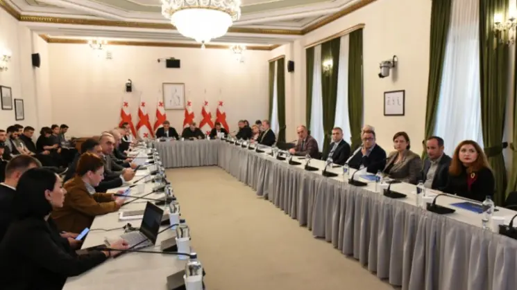დავით ნარმანიამ პარლამენტში სემეკის 2025 წლის საქმიანობის ანგარიში წარადგინა