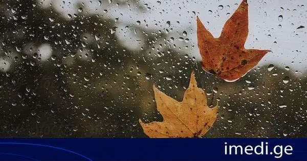 როგორი ამინდია მოსალოდნელი დღეს საქართველოში
