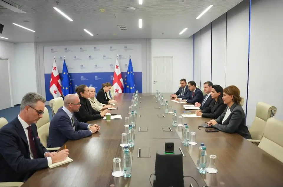 მარიამ ქვრივიშვილი აშშ-ის საერთაშორისო განვითარების საფინანსო კორპორაციის (DFC) პოლიტიკის მიმართულების ხელმძღვანელს ქეროლაინ ვიკს შეხვდა